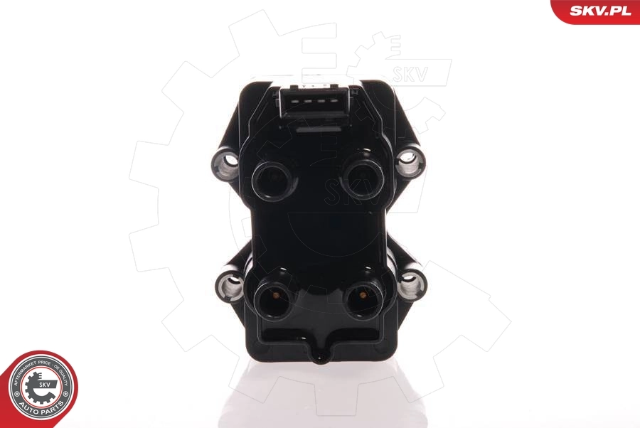 Ignition Coil